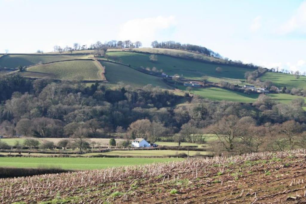 Rural Devon Retreat In Stunning Exe Valley. Exeter Exterior foto